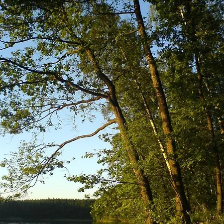 Samodzielny Dom Przy Lesie