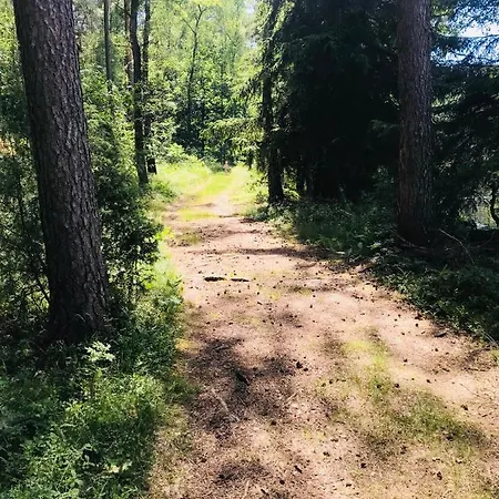 Samodzielny Dom Przy Lesie