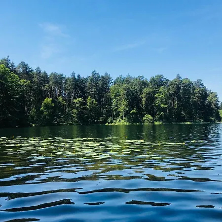 Alojamento de Turismo Selvagem Samodzielny Dom Przy Lesie *