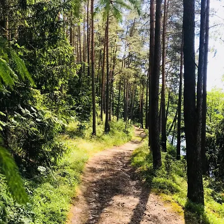 Samodzielny Dom Przy Lesie Lodge Tereszewo