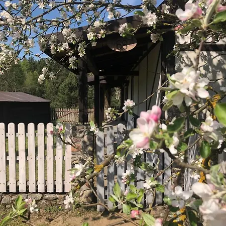 Samodzielny Dom Przy Lesie Lodge