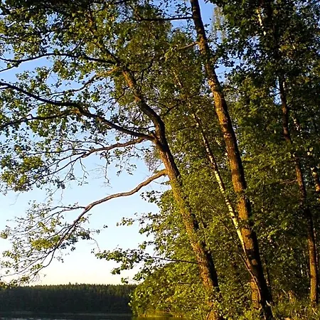 Lodge Samodzielny Dom Przy Lesie Tereszewo