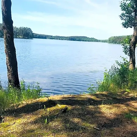 Samodzielny Dom Przy Lesie Lodge *