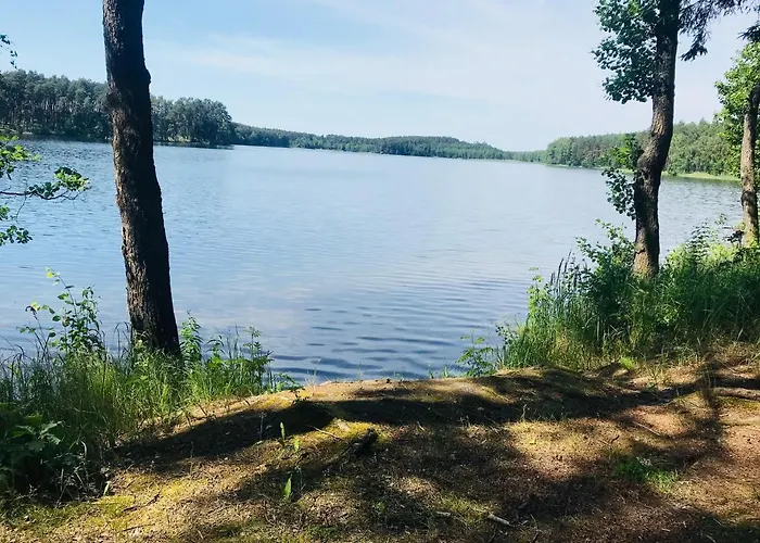 Samodzielny Dom Przy Lesie Tereszewo